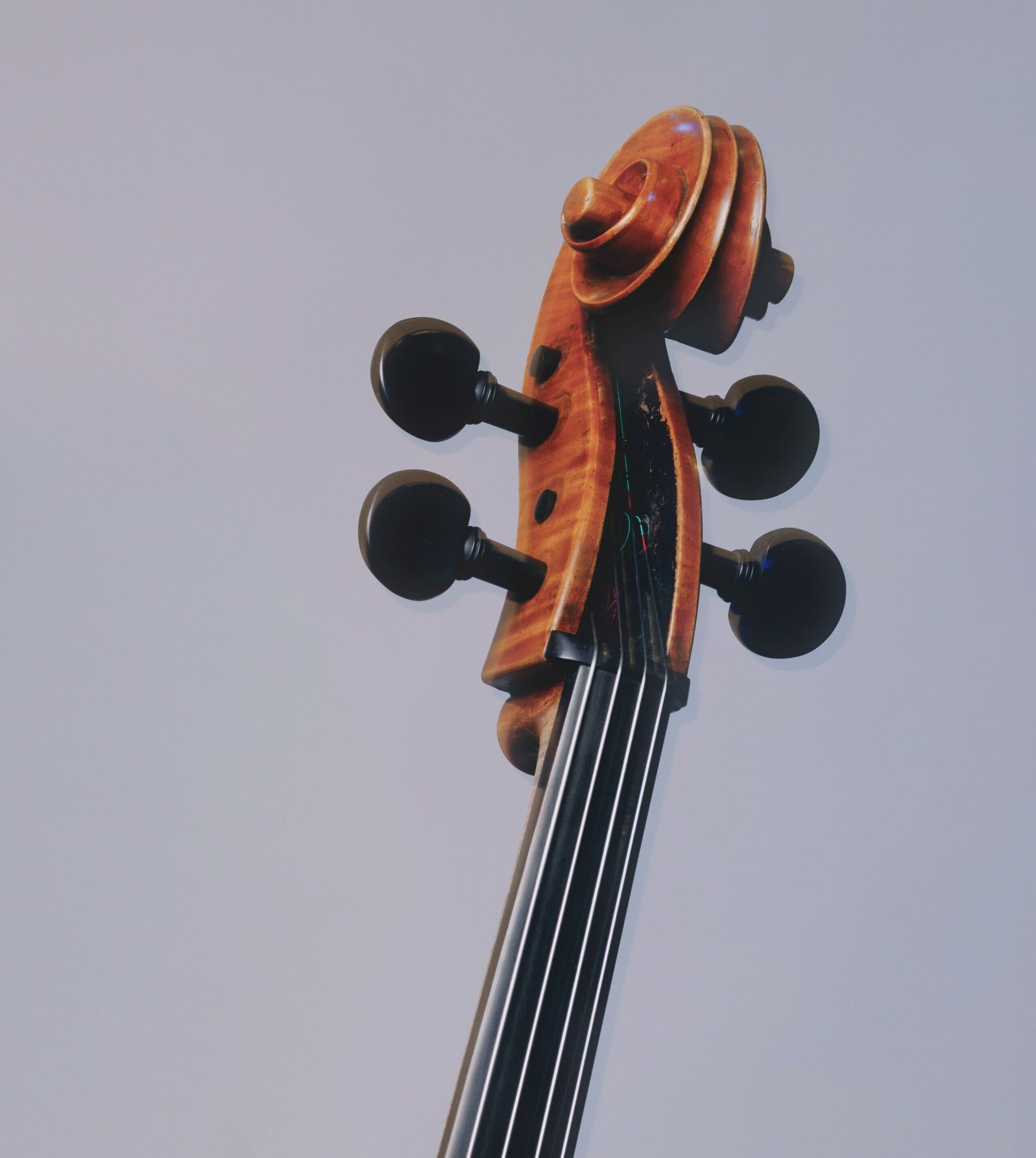 Foto Ausschnitt eines Cellos